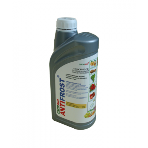 CROPAID ANTIFROST DA 1 LT