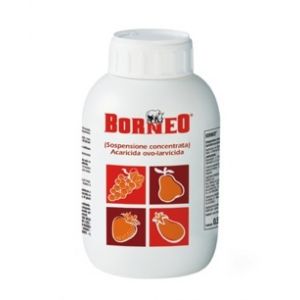 BORNEO DA 500 ML