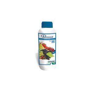 BREZZA DA 1 LT