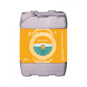 FORTHIAL DA 5 LT