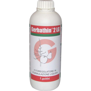 GERBATHIN 2 LG DA 5 LT